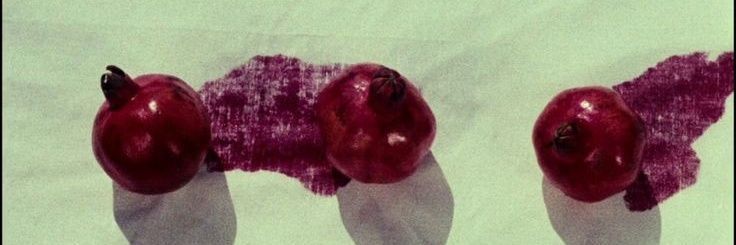 🪆💮🪶📿🪔 banner