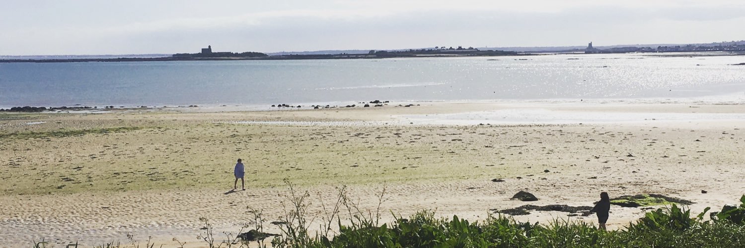 Louise Petitrenaud banner