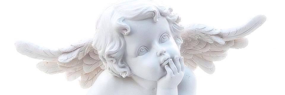 duonghobach's profile banner image