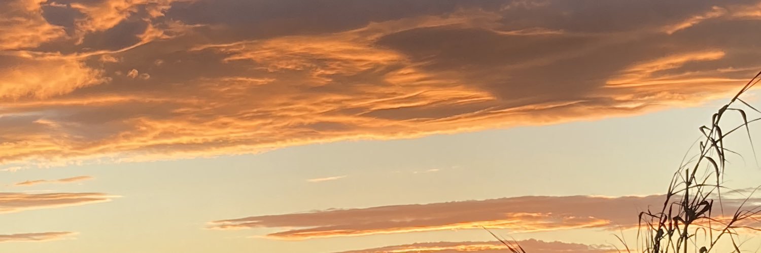 Luciaaamss's profile banner image