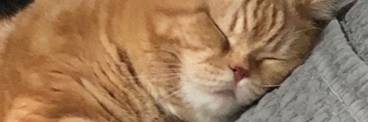 MIIWMILK's profile banner image