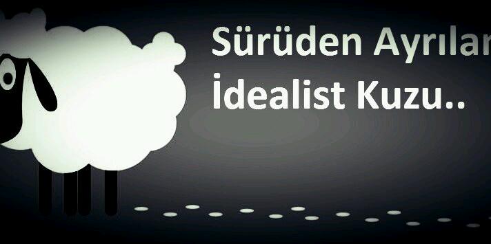 idealist kuzu ¤{**}, banner