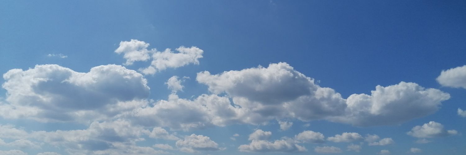 negaecem's profile banner image