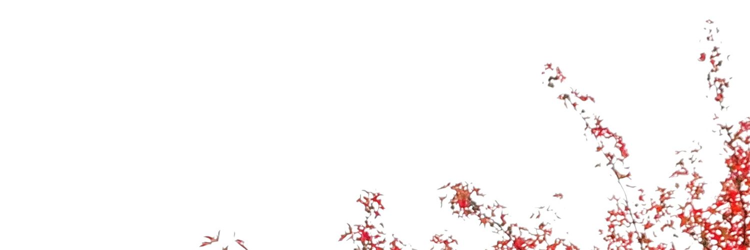 Ranpinou's profile banner image
