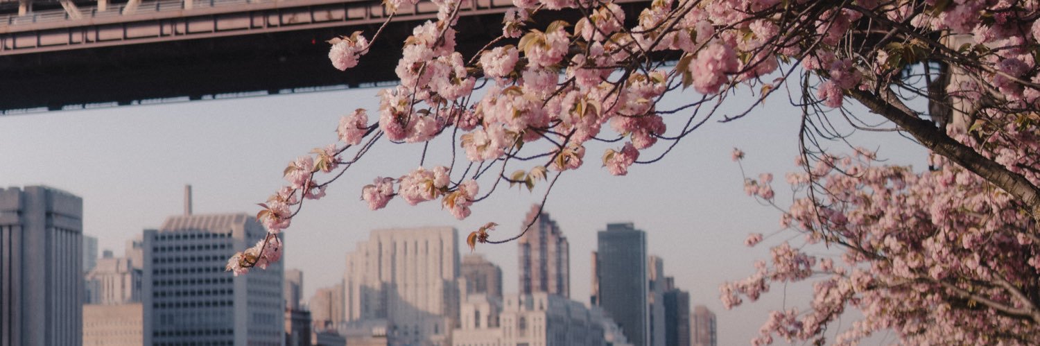 lovelysotto_'s profile banner image