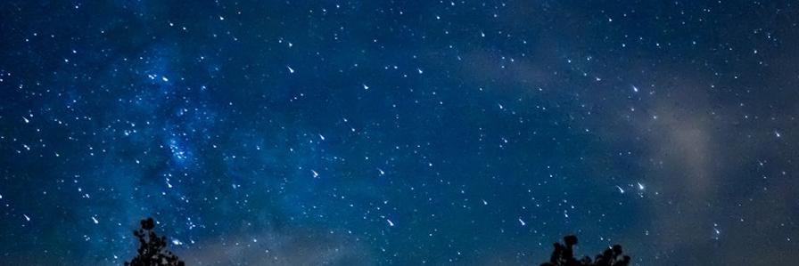 Morales Ossandón 🇿🇦 banner