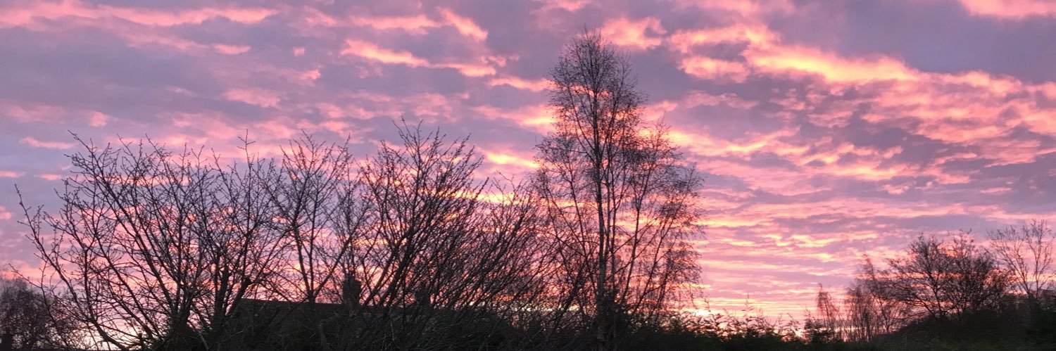 Life as Paula banner