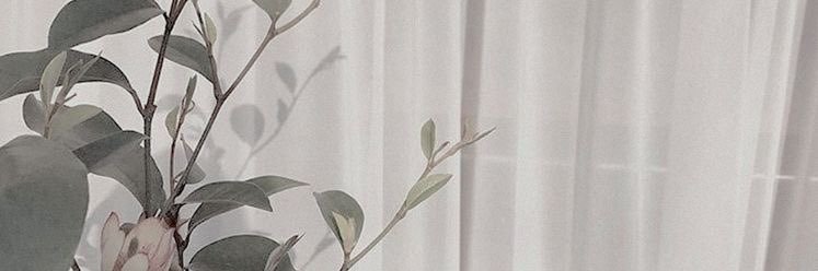 jo🫧 banner