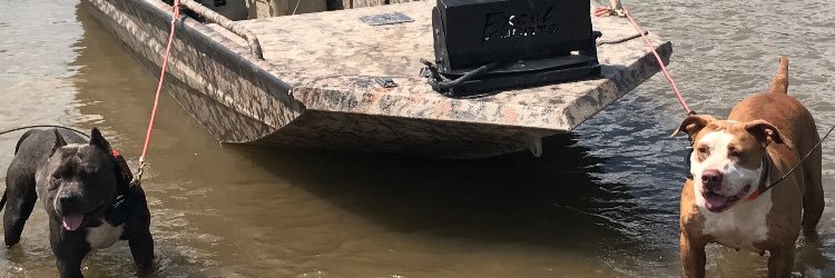 Bosshawg79's profile banner image