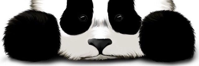 JuanSadPanda banner