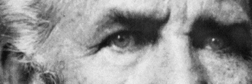 Barbarian Steve banner