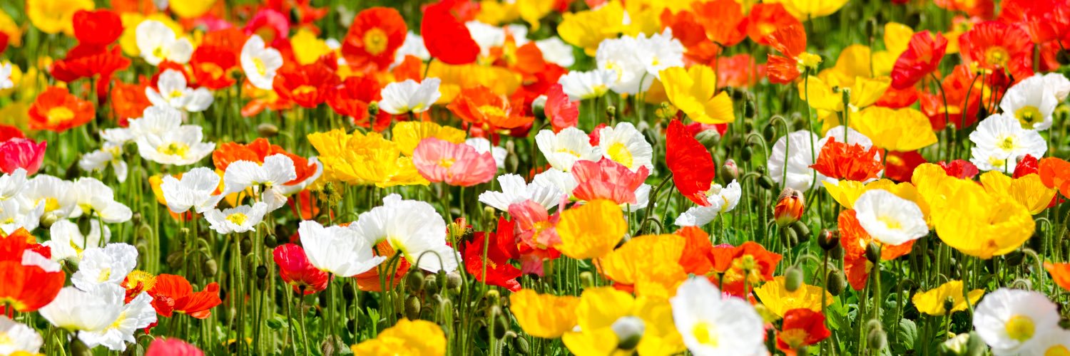 nmst_14's profile banner image