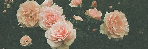 AbbyOlson17's profile banner image