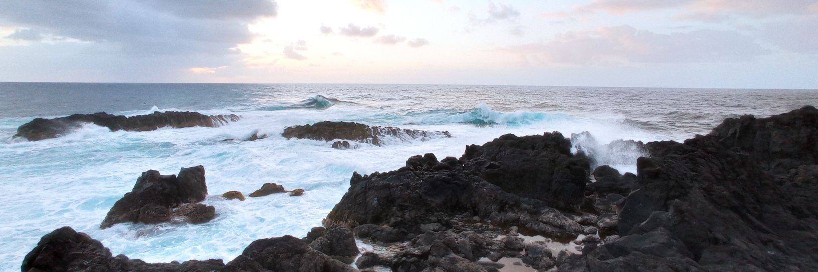 Anamarija Butkovic banner