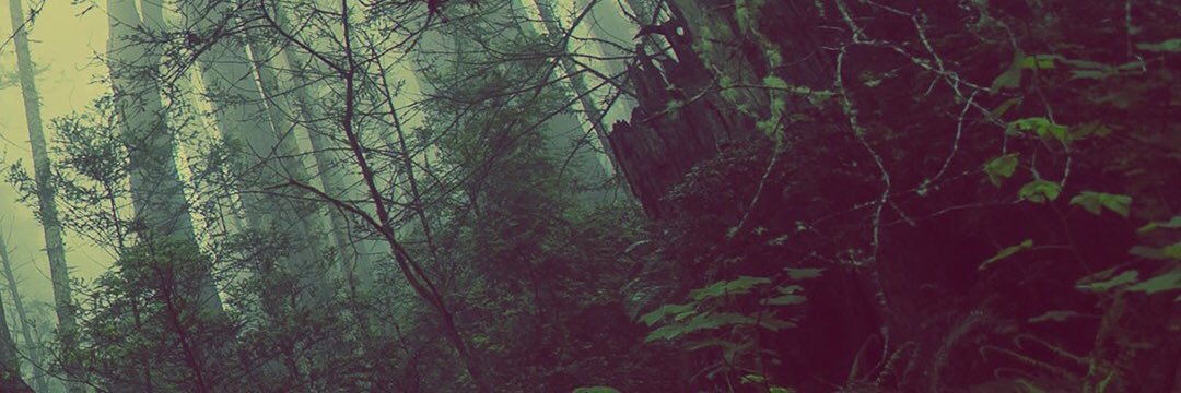 TheDupsterGame's profile banner image