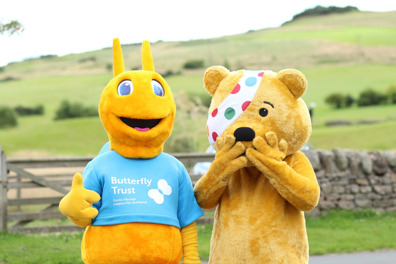 Butterfly Trust banner