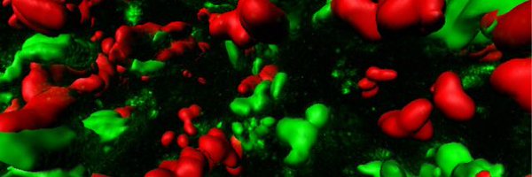 DarchLab Profile Banner