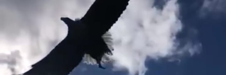 Roberto💙 IG Robertopinto6853 banner