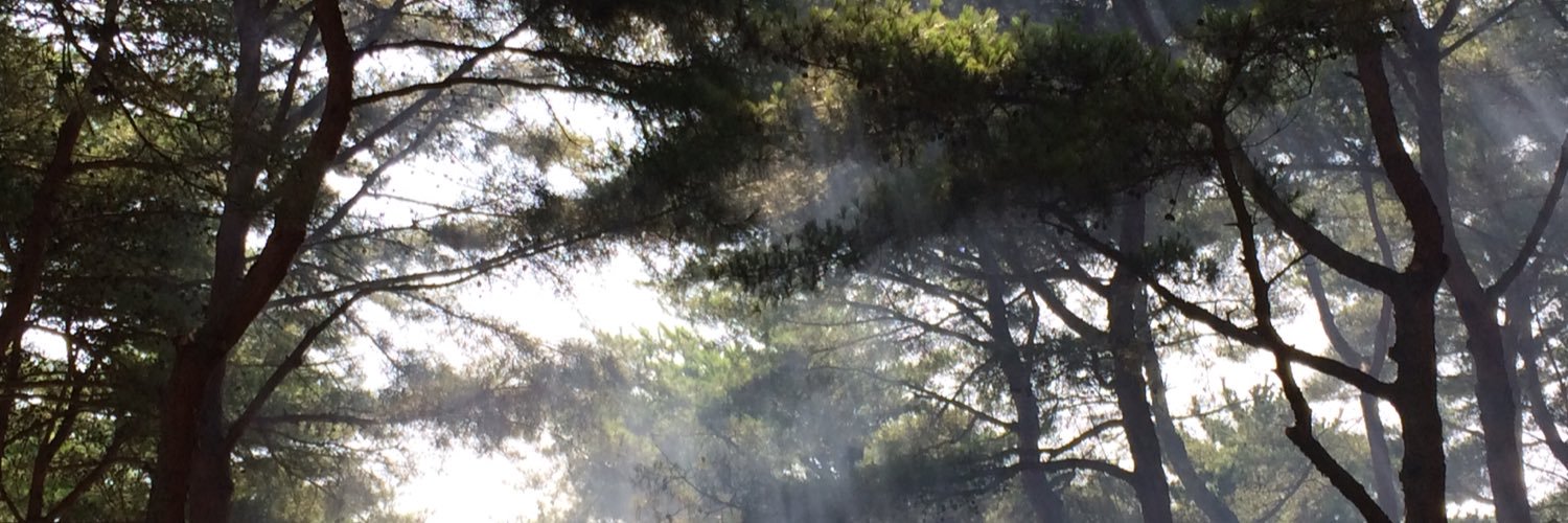 roja2's profile banner image