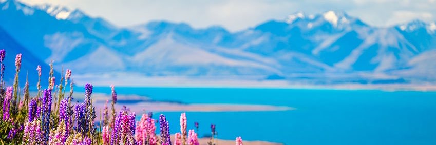 AmyBerthaut's profile banner image