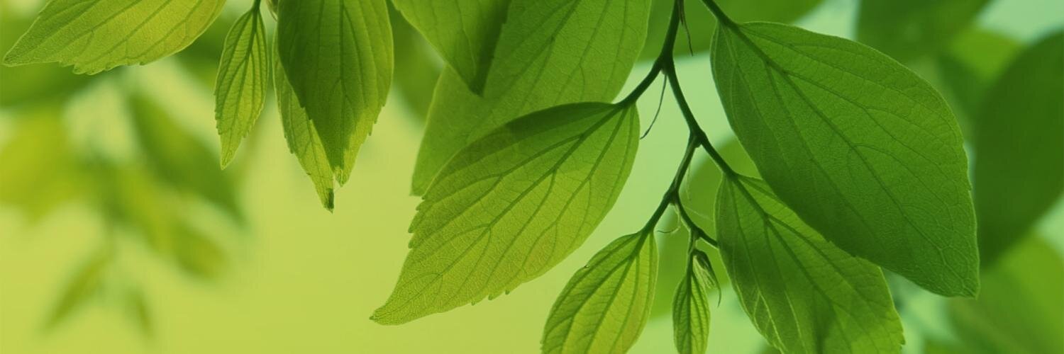 ESNIKE1's profile banner image