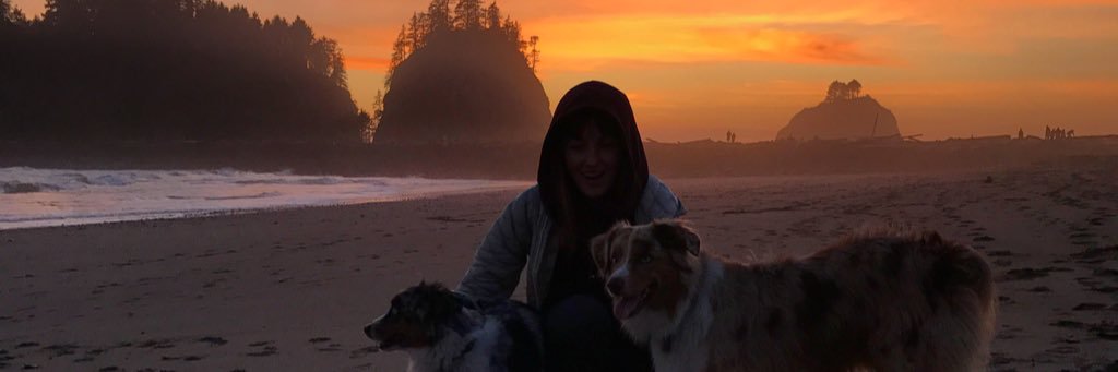 Wanderinnsam's profile banner image