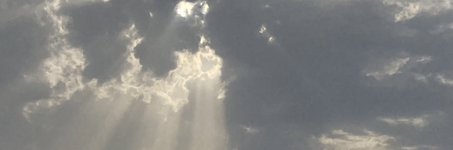 anaamlch's profile banner image