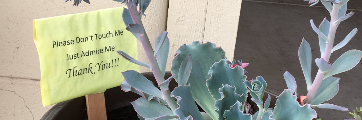 capycara's profile banner image