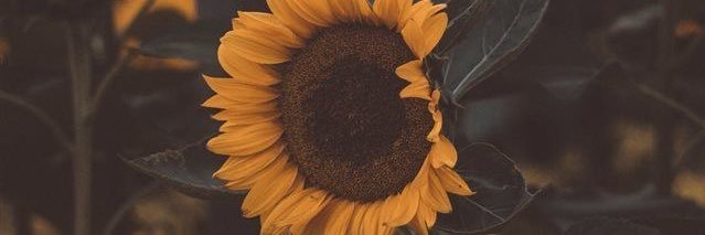 mmyownb's profile banner image