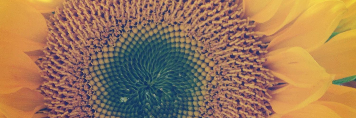 jkgschumaker's profile banner image