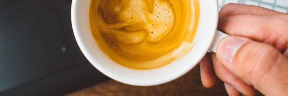 Mikael Lykkegaard Have banner