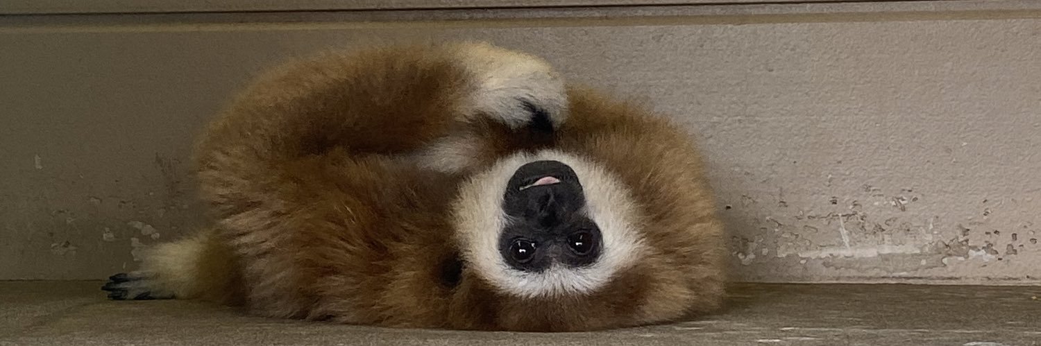 カラムーチョ banner