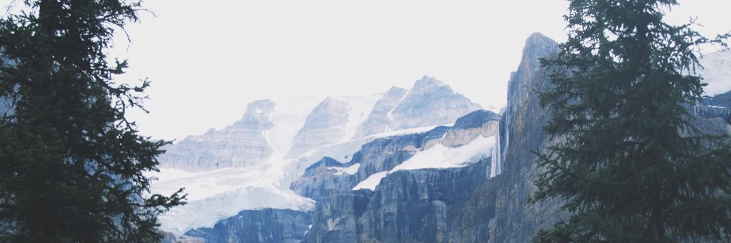 Jale M. Osten banner