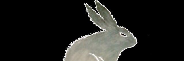birraman91's profile banner image