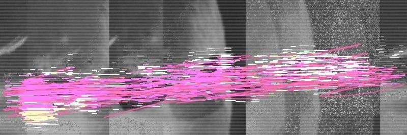 BL∆NKT J∆CKSN banner