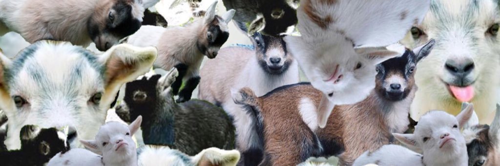 JessLauMel's profile banner image