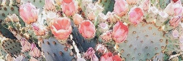 Absmarie_'s profile banner image