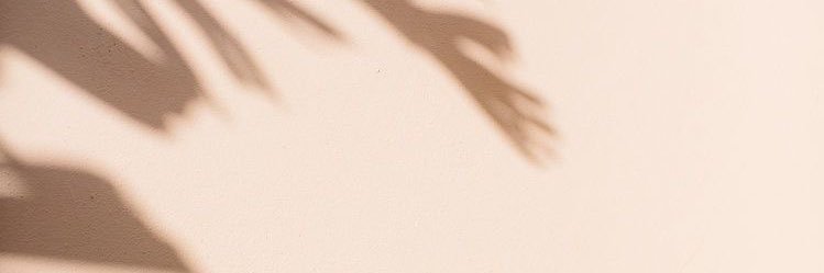 ftrrsl's profile banner image