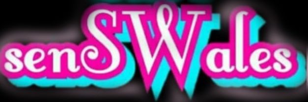 senSWales banner