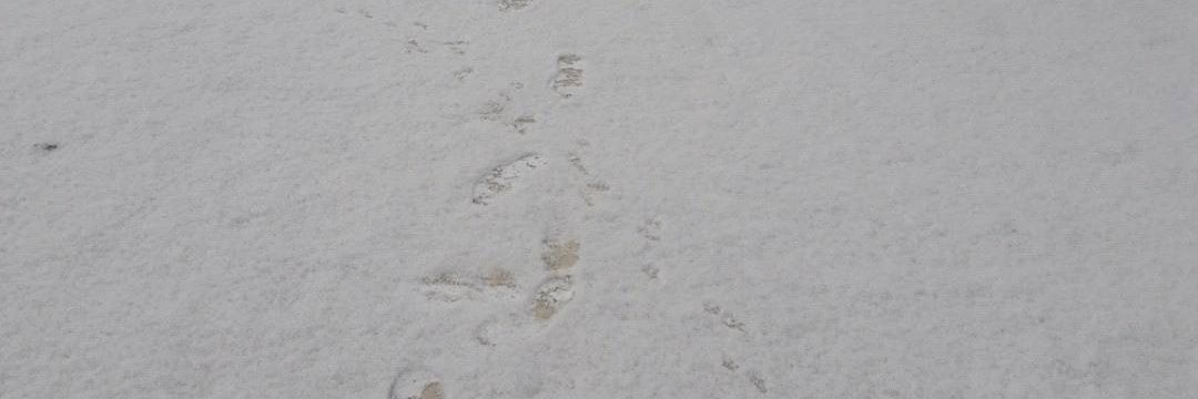 m0wo_m's profile banner image