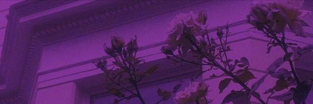 mimi ⁷ banner
