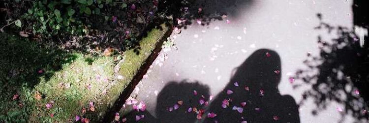 joojo198's profile banner image