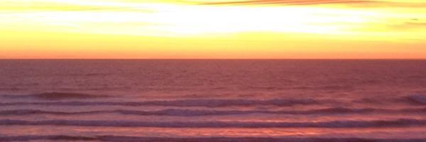 gumdigger Profile Banner