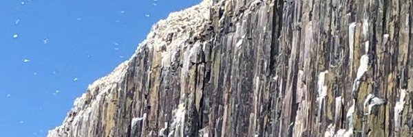 DaniGaravelli1 Profile Banner