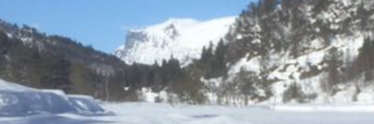 Dr ℕ!∃ℝ banner