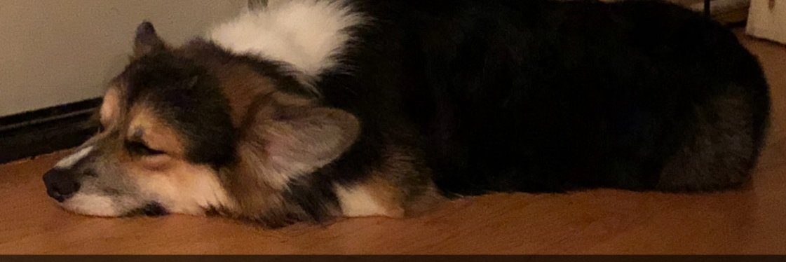 Dana 🛵 zuul-bsky banner