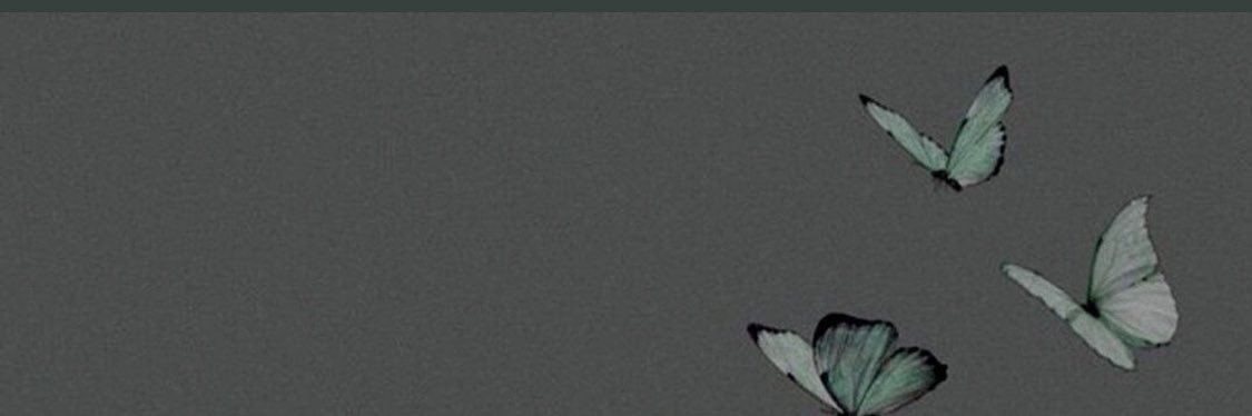 ♌︎. banner