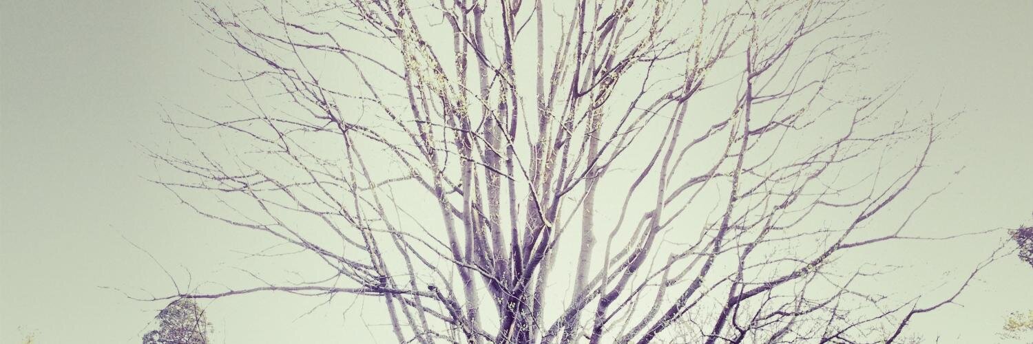 vagerik's profile banner image
