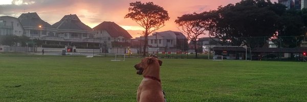 JaniceSHLee Profile Banner