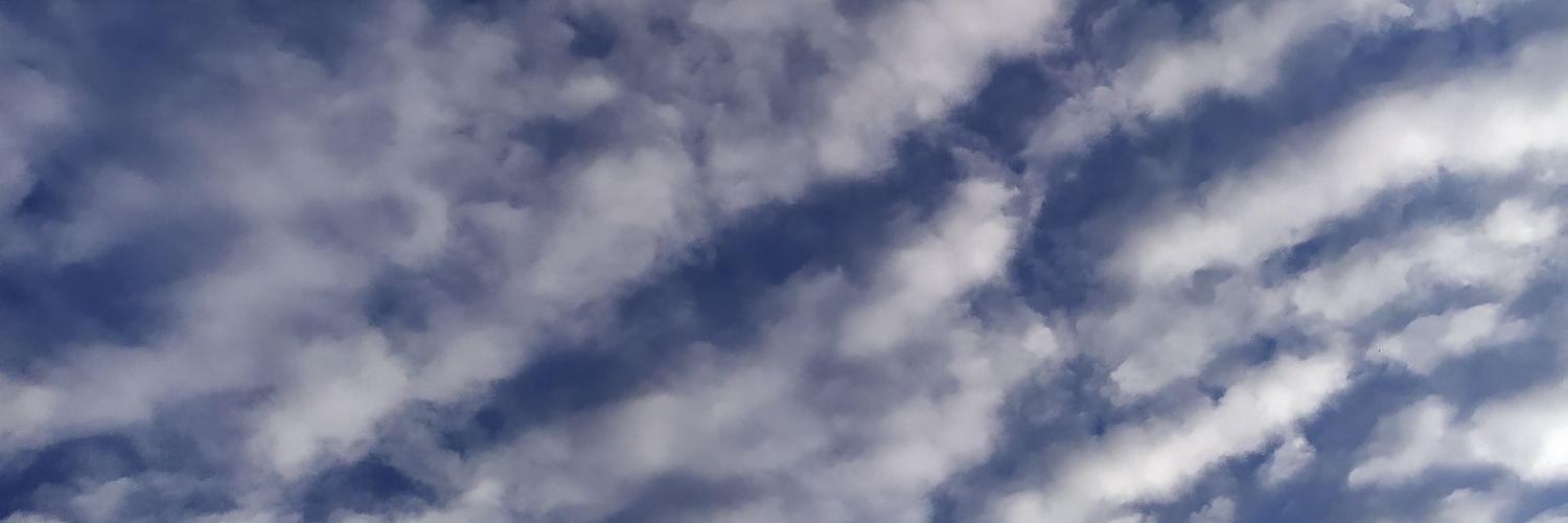 OrthoMorph's profile banner image